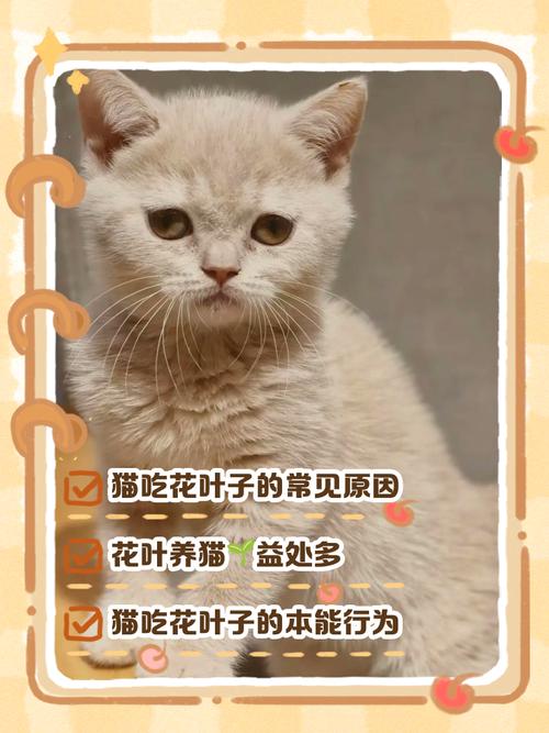 猫能吃什么草