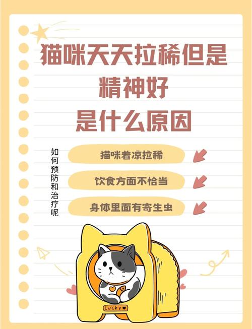 猫咪一直拉稀但是精神很好怎么办