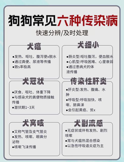 揭秘狗狗的常见传染病有哪些