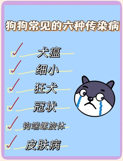 狗狗6种常见传染病