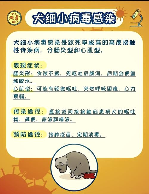 这几种狗狗传染疾病一定要警惕!