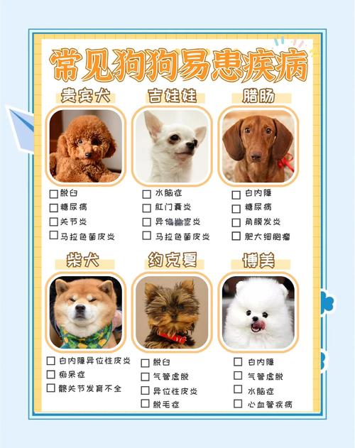 狗狗哪些病会传染人