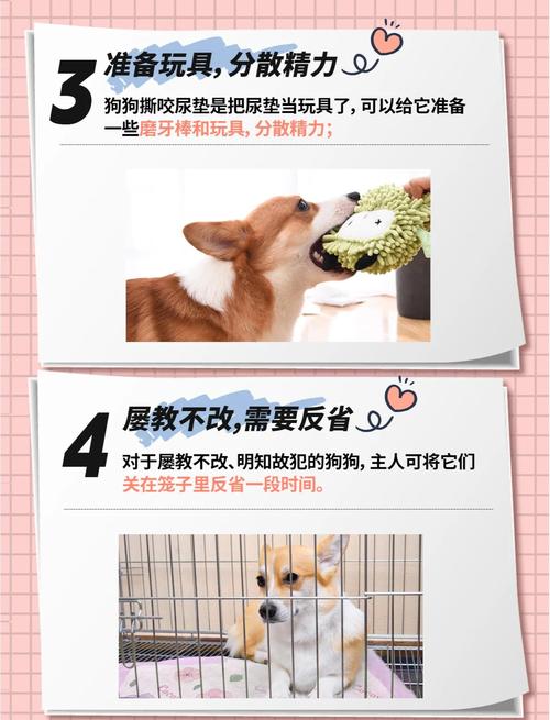 狗狗经常咬尿垫是为什么