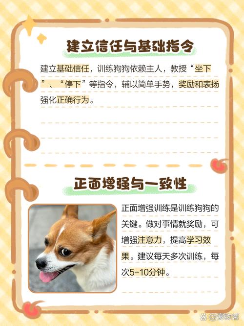 狗狗不听话该如何训练?