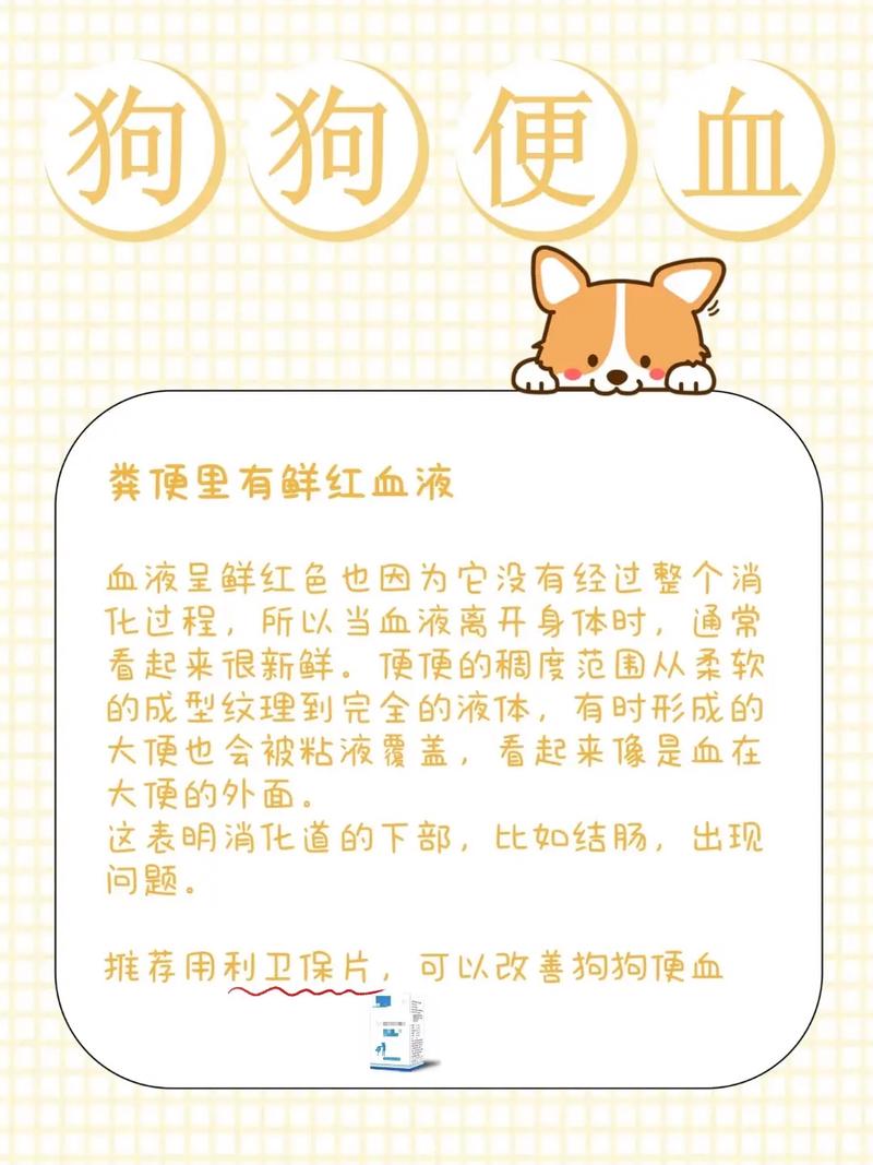 狗狗便便里有血