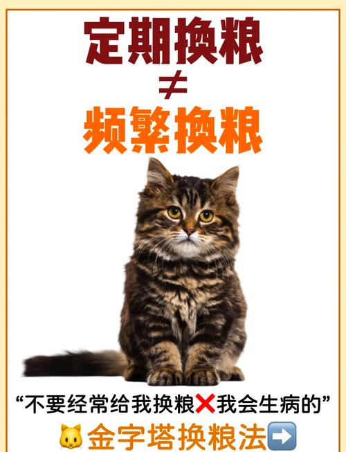 猫粮要经常换着吃吗?