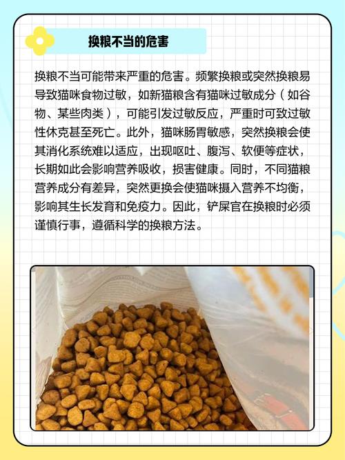 猫咪多久换一次猫粮
