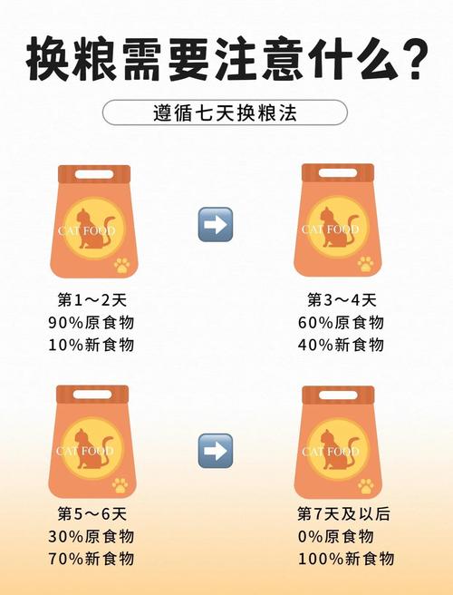 猫咪出现这些情况,你真的要换猫粮了