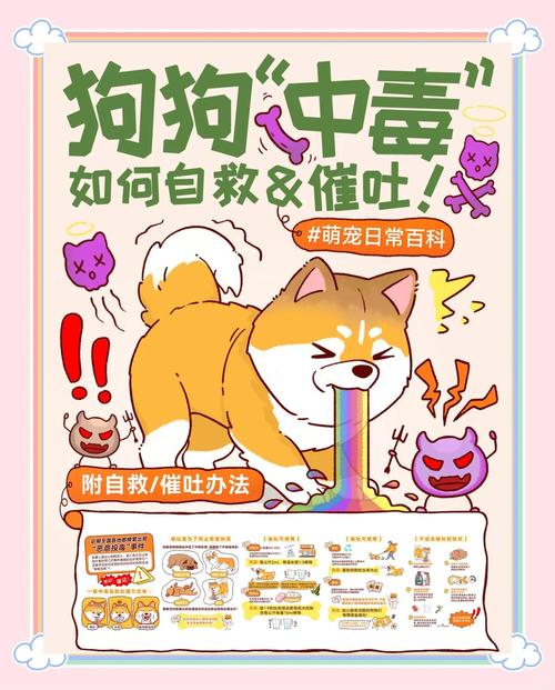 狗狗催吐是怎么回事?