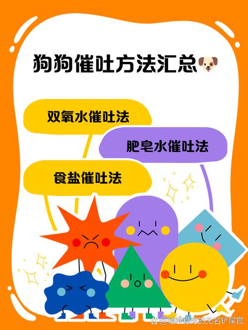 狗狗怎样催吐最快最有效