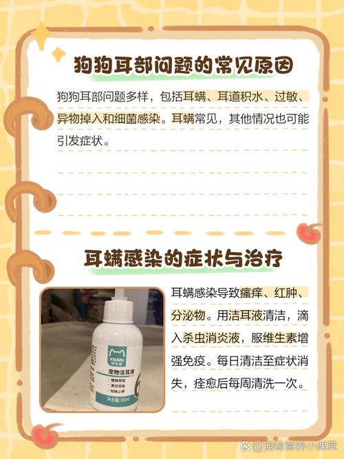 狗狗耳朵里发红是怎么回事