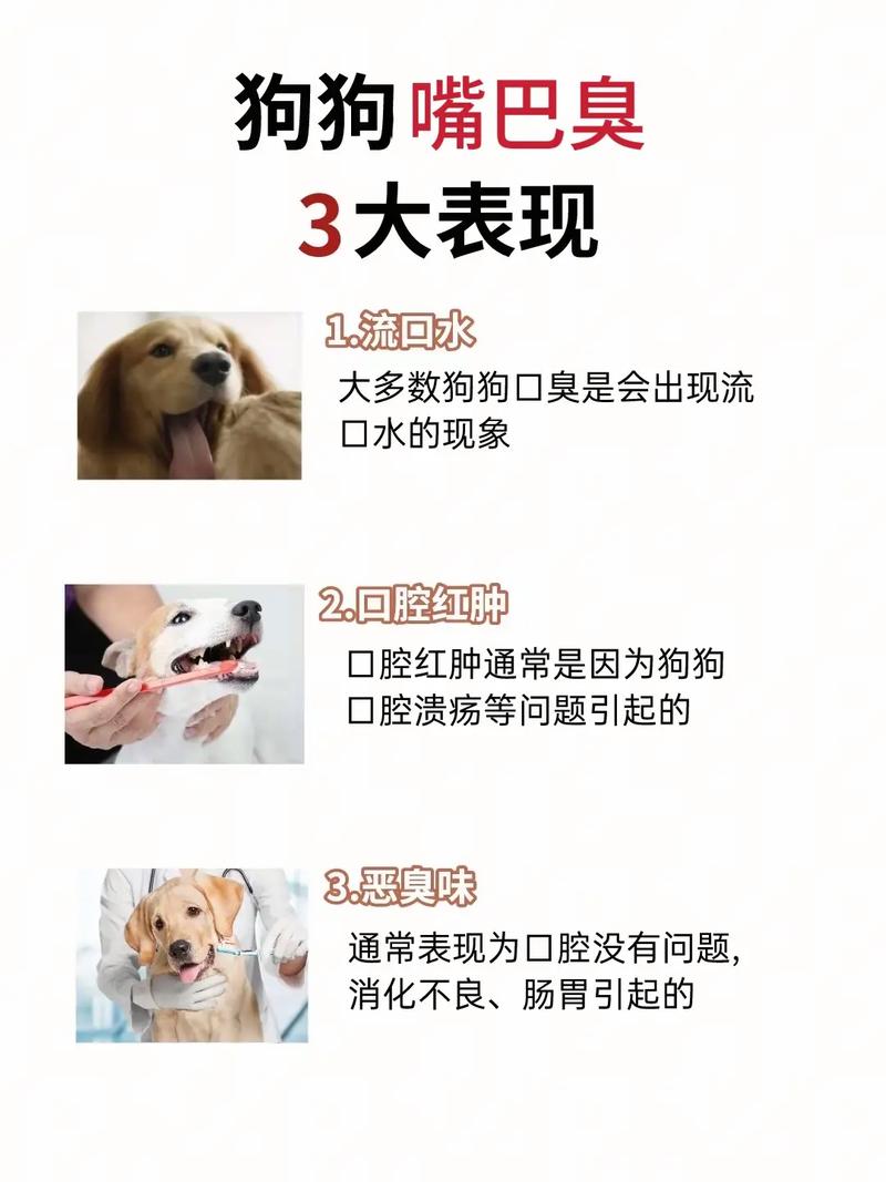 狗狗嘴巴臭怎么办