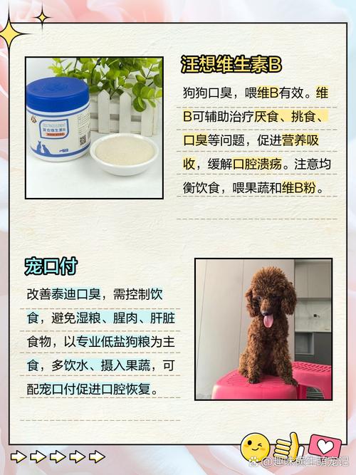 感觉狗狗口臭怎么办吃什么药好