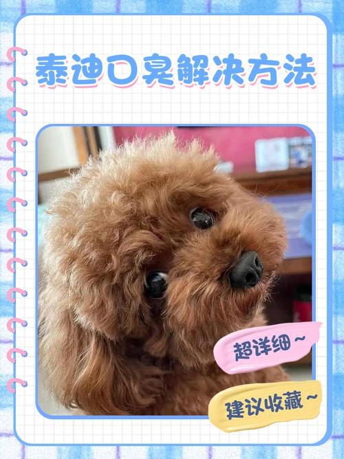 狗狗去口臭的小窍门
