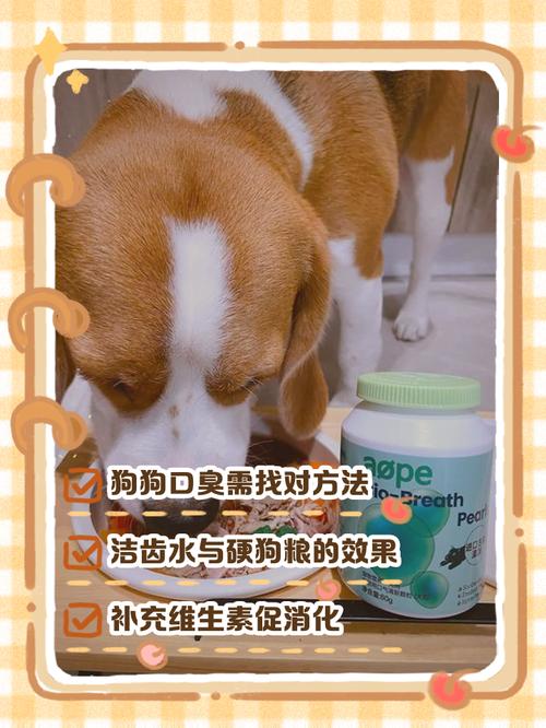 狗狗口臭最怕三个药