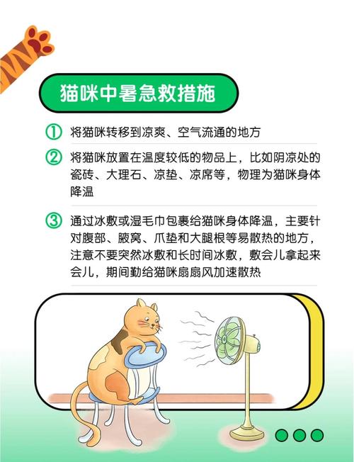 猫咪中暑什么症状表现