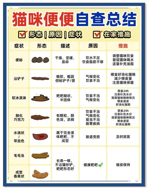 猫便秘拉不出屎怎么办