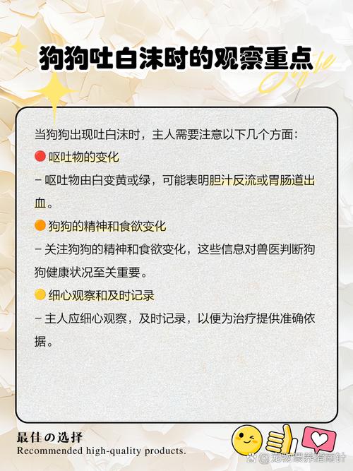狗口吐白沫不进食没精神怎么办