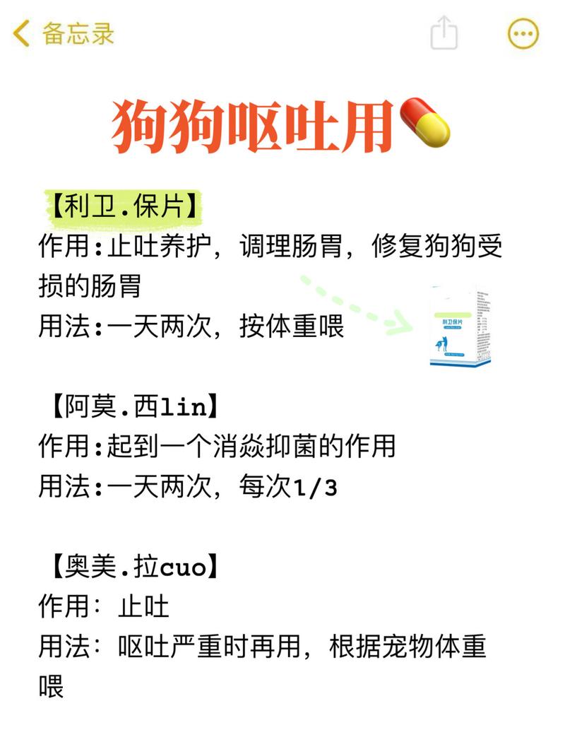 两个月的狗狗吐白沫是怎么了?