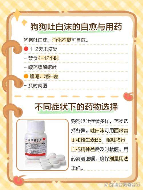 狗狗吐白沫怎么回事怎么办吃什么药