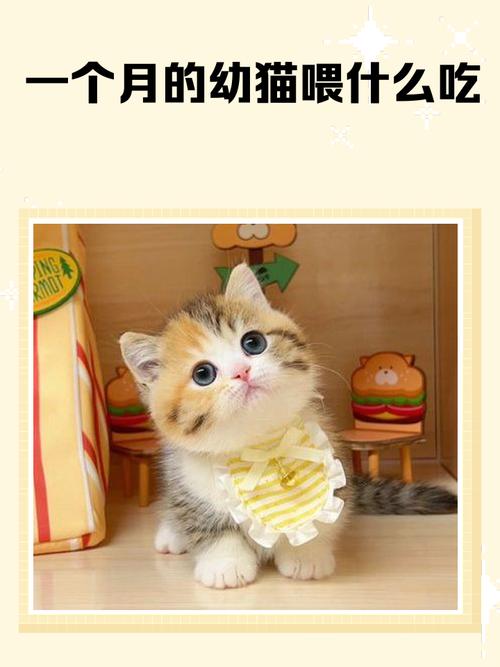 猫咪为什么吃咸东西