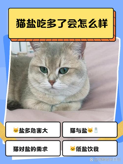 猫咪能不能吃咸的东西