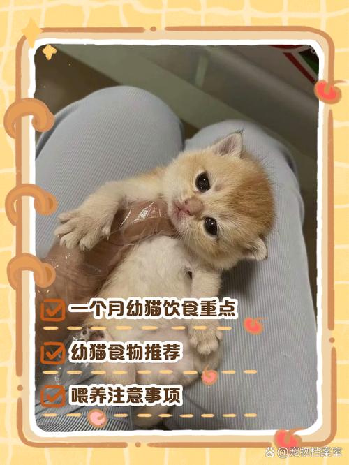 不让猫咪吃盐为什么猫粮都是咸的?
