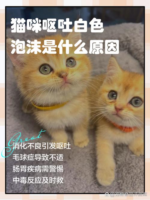 猫吐了白色黏液或泡沫吃什么药