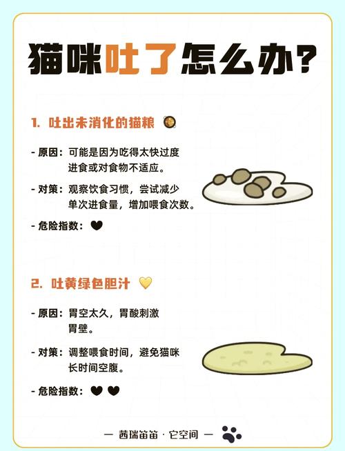 猫吐了白色泡沫粘液怎么回事?