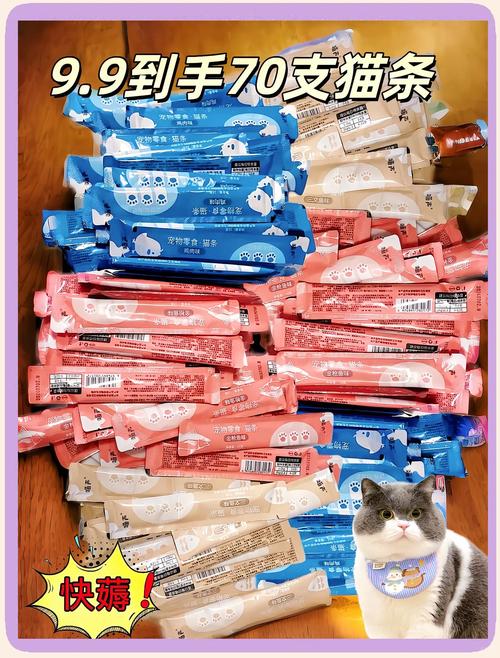 一到六个月的小猫咪可以吃什么零食?