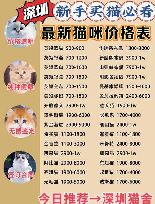 暹罗猫一般配种人家要给公猫多少钱?