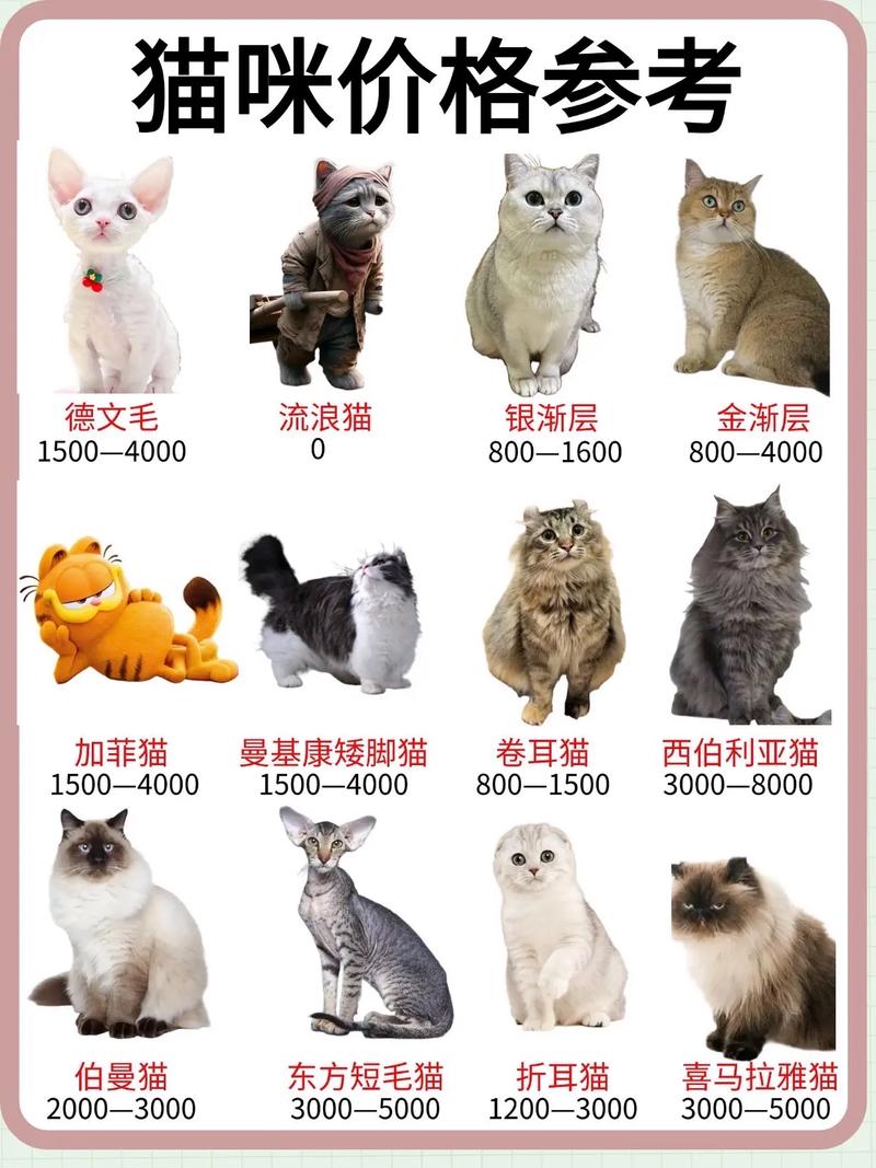 给猫咪配种一般需要多少钱?