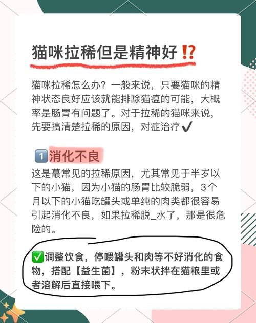 猫咪腹泻拉稀怎么办