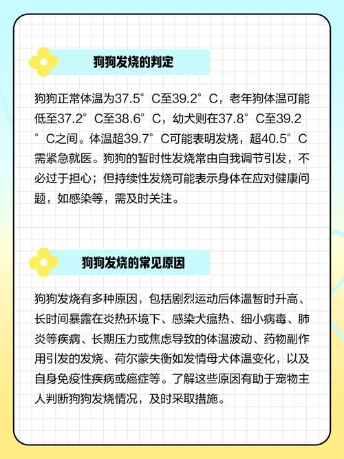 狗狗发烧吃什么药