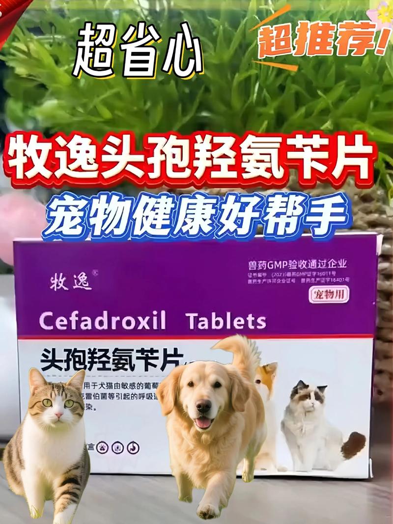 狗狗发烧症状以及治疗方法