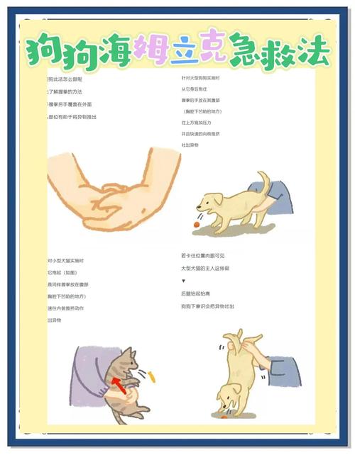 狗狗喉咙卡异物一招解决