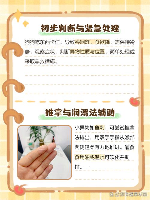 狗狗被东西卡到了怎么办
