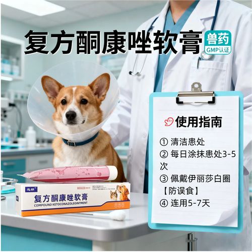 狗真菌感染能用酮康唑吗?用什么药