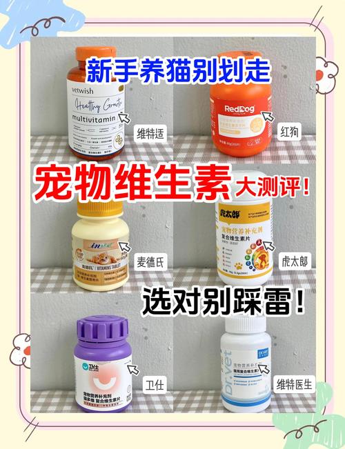 猫咪口臭吃什么药