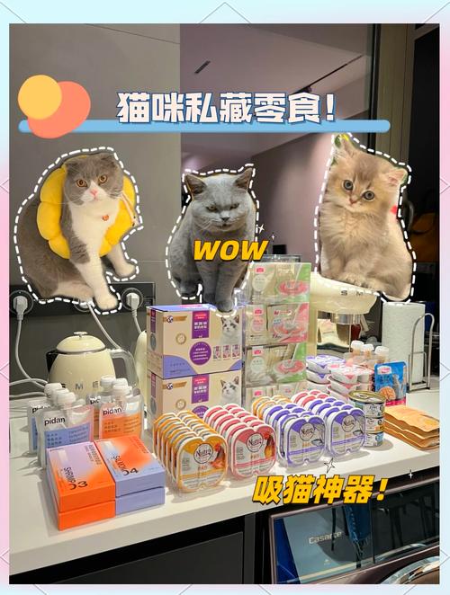 一到六个月的小猫咪可以吃什么零食?