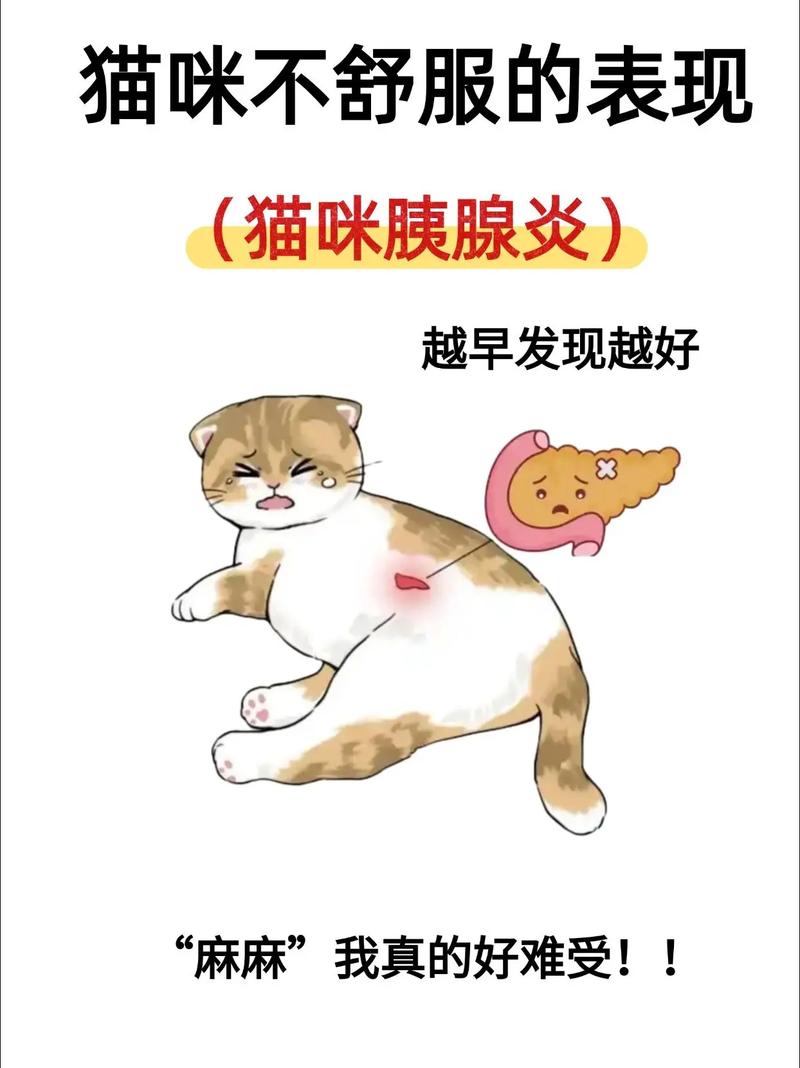 猫咪胰腺炎的有什么表现?