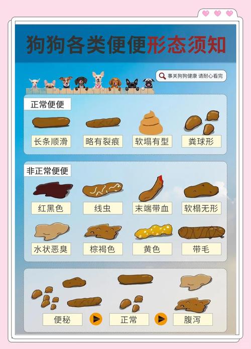 狗狗便便颜色代表什么
