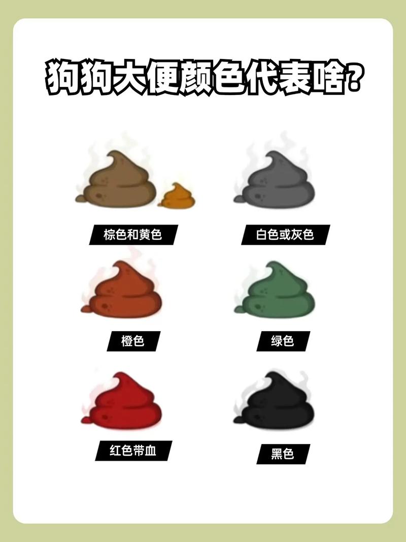 狗狗大便颜色能看出什么?