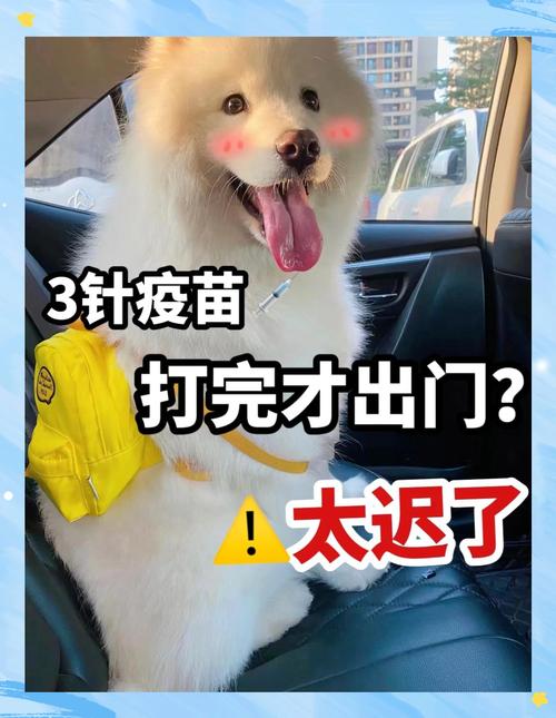 狗狗不打疫苗的危害