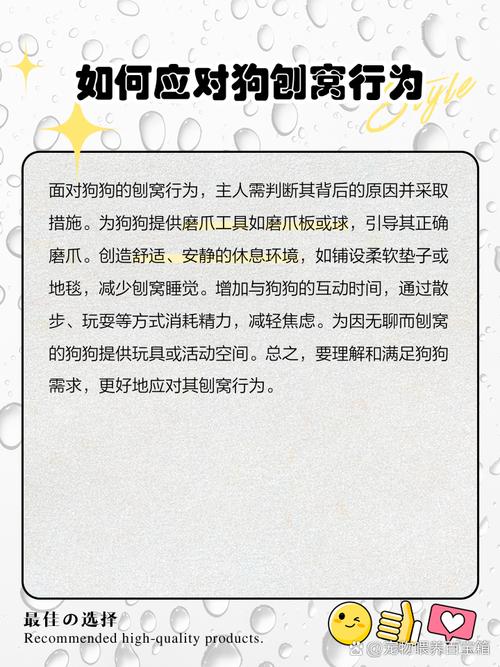 狗狗刨窝是怎么回事