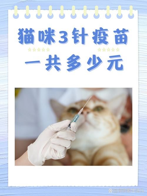 猫咪打预防针一般要多少钱?