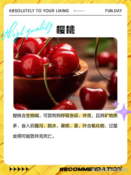 狗狗可以吃的水果有哪些?