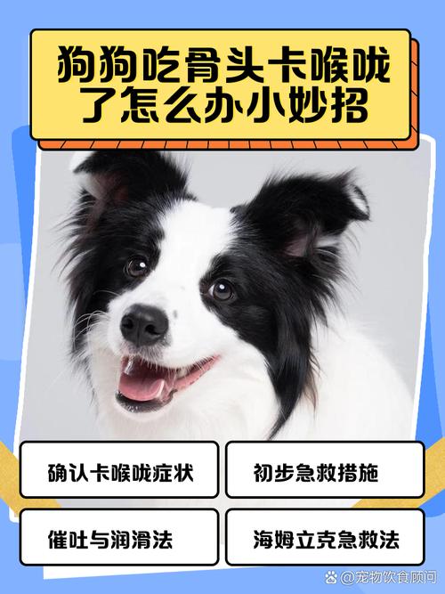 狗狗喉咙里卡东西一直咳不出来怎么办