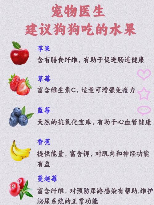 狗狗吃什么蔬菜和水果
