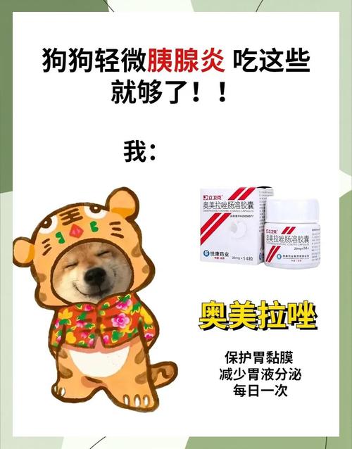 狗狗胰腺炎吃什么药好得快啊?